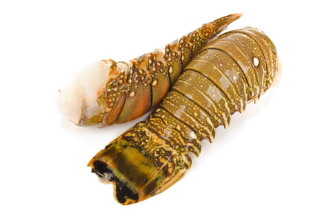 Premium Lobster