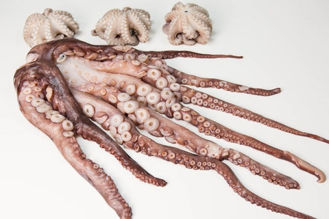 Frozen Octopus Cleaned Whole
