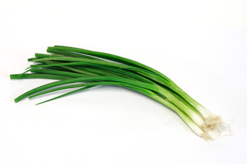 Onion Green Iceless