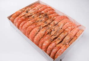LANGOSTINO WHL IQF 2.2 lb