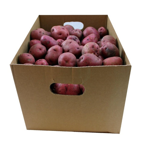 Potato Red A Size #2  50 LBS $32