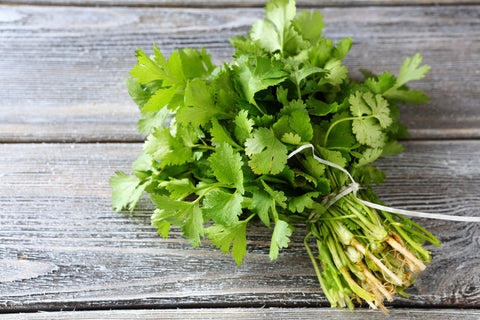 Cilantro Bunch Iceless