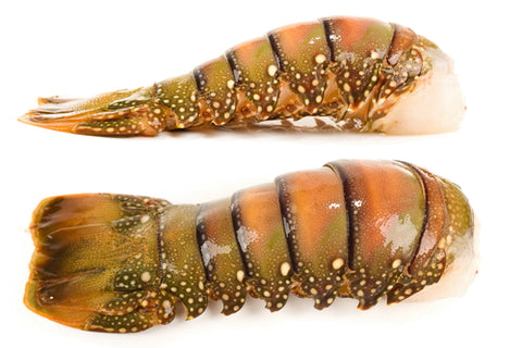 Lobster Tail 5-6 oz Cold Water