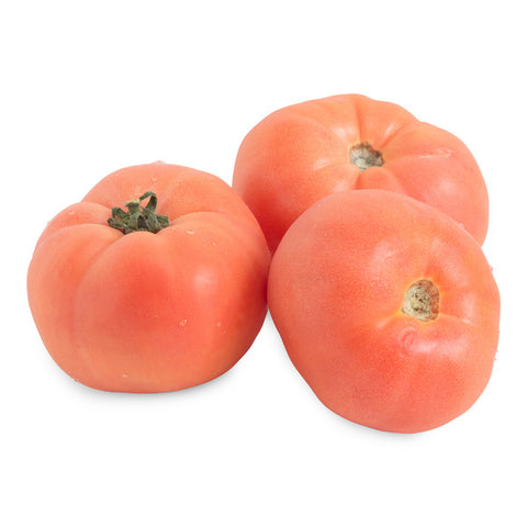 Tomato Vine Ripe Field Run